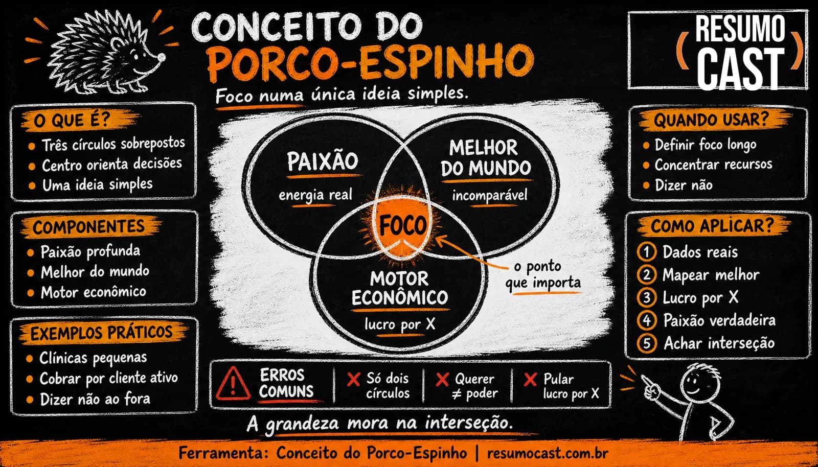 Conceito do Porco-Espinho (Hedgehog Concept)