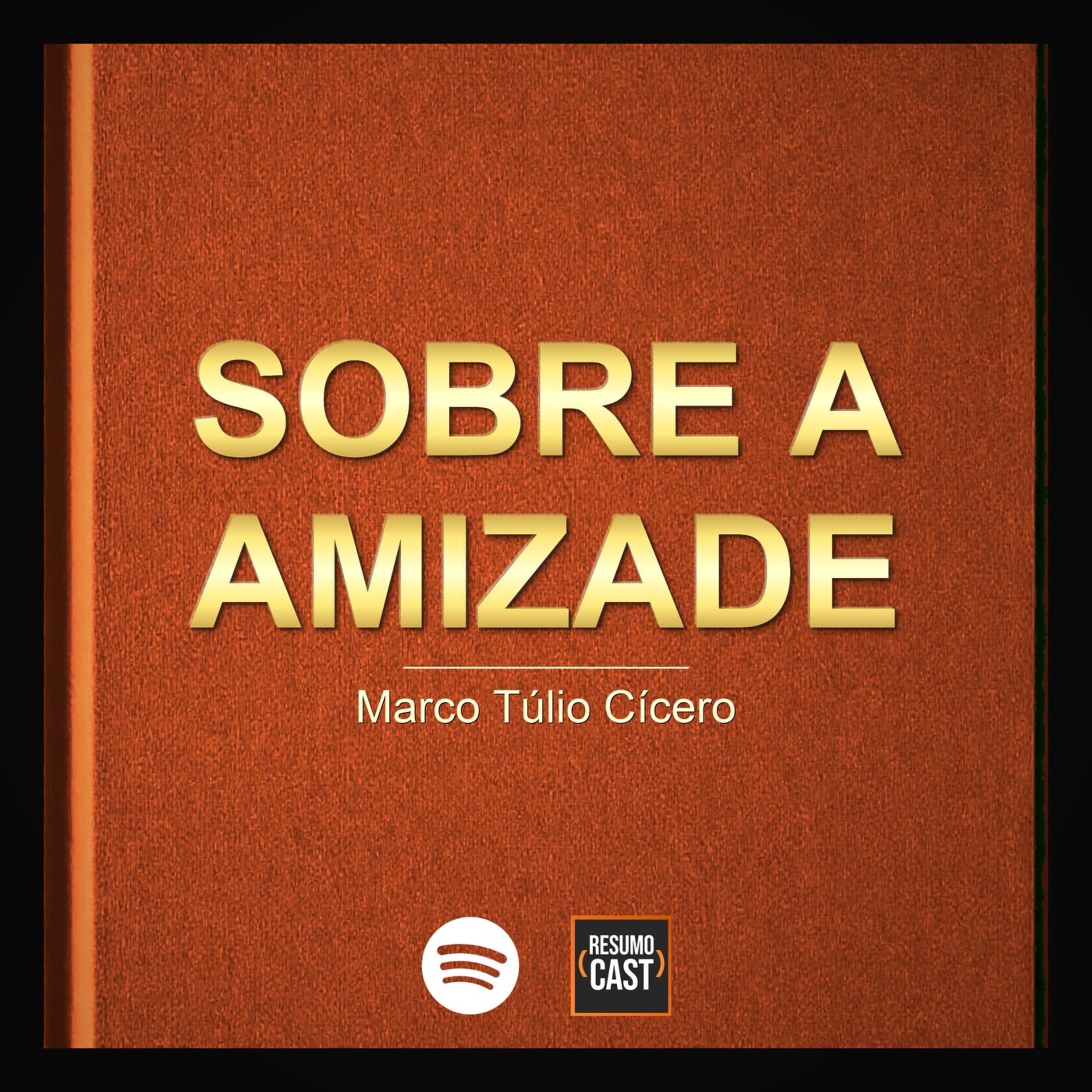 Sobre a Amizade: quem sempre concorda com você não é seu amigo | Temporada 8 · Mapa Mental em 9 min